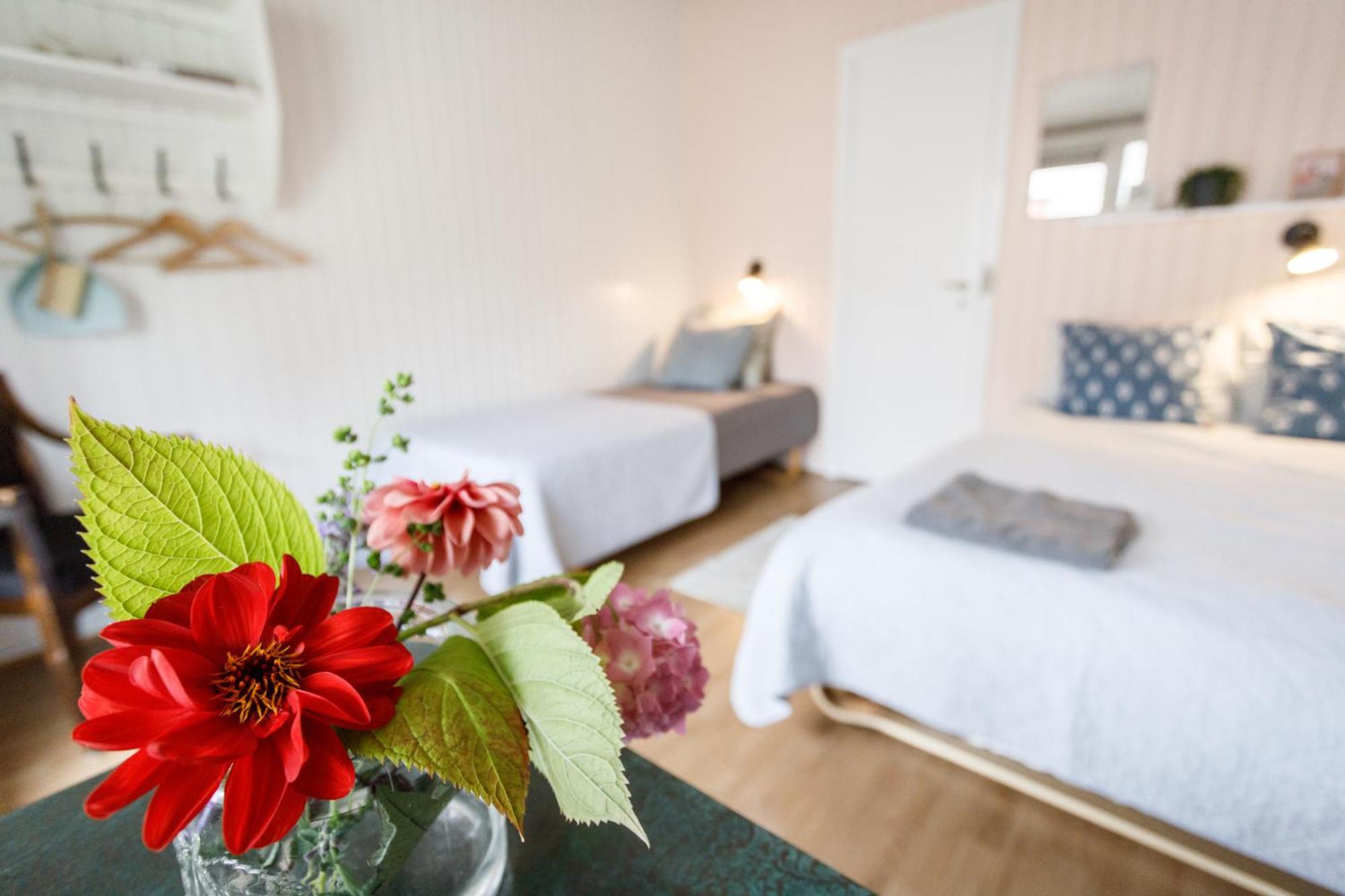 Danhostel Stevns Klint Store Heddinge Extérieur photo